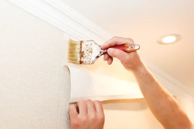 Pose de papier peint à Lescuns — revêtements muraux et toiles de verre